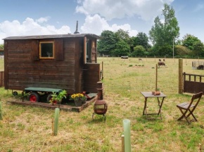Falgate Shepherds Hut